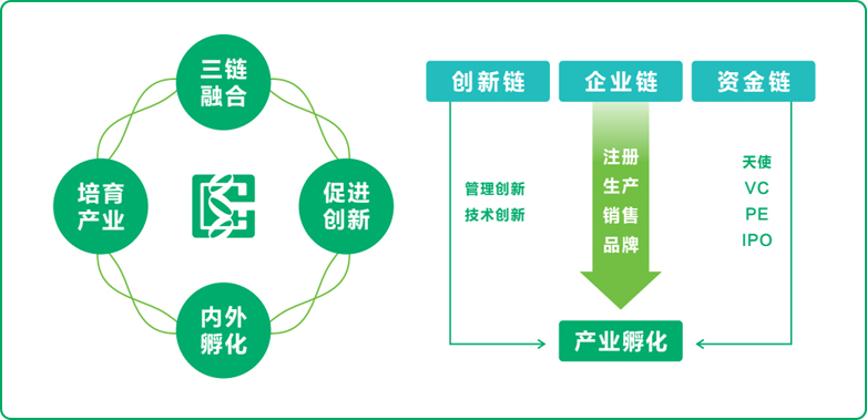 东升国际官网式孵化