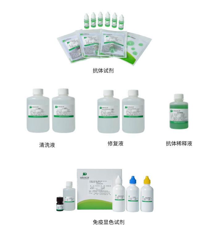 2024061219075569 东升国际官网-相信品牌力量
