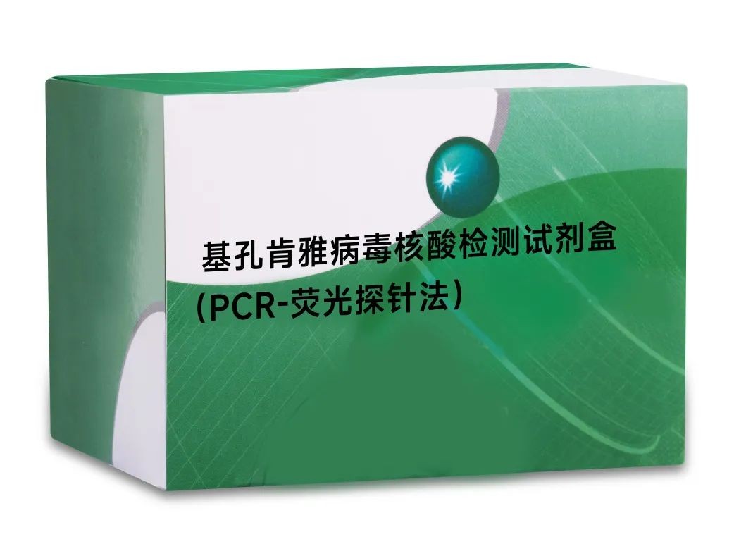 东升国际官网-相信品牌力量