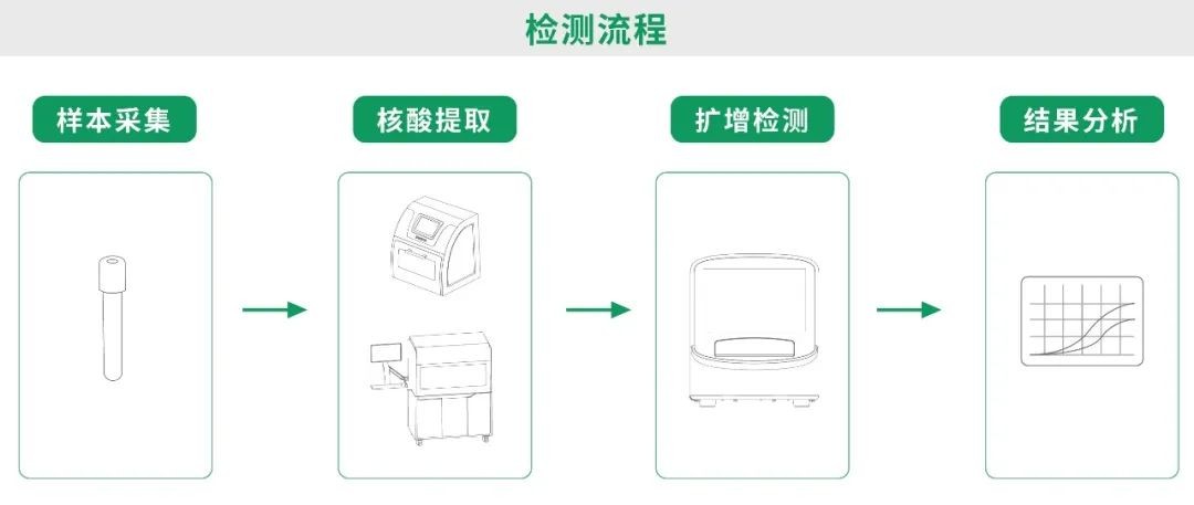 东升国际官网-相信品牌力量