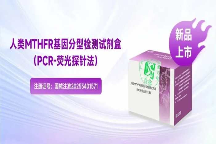 东升国际官网-相信品牌力量